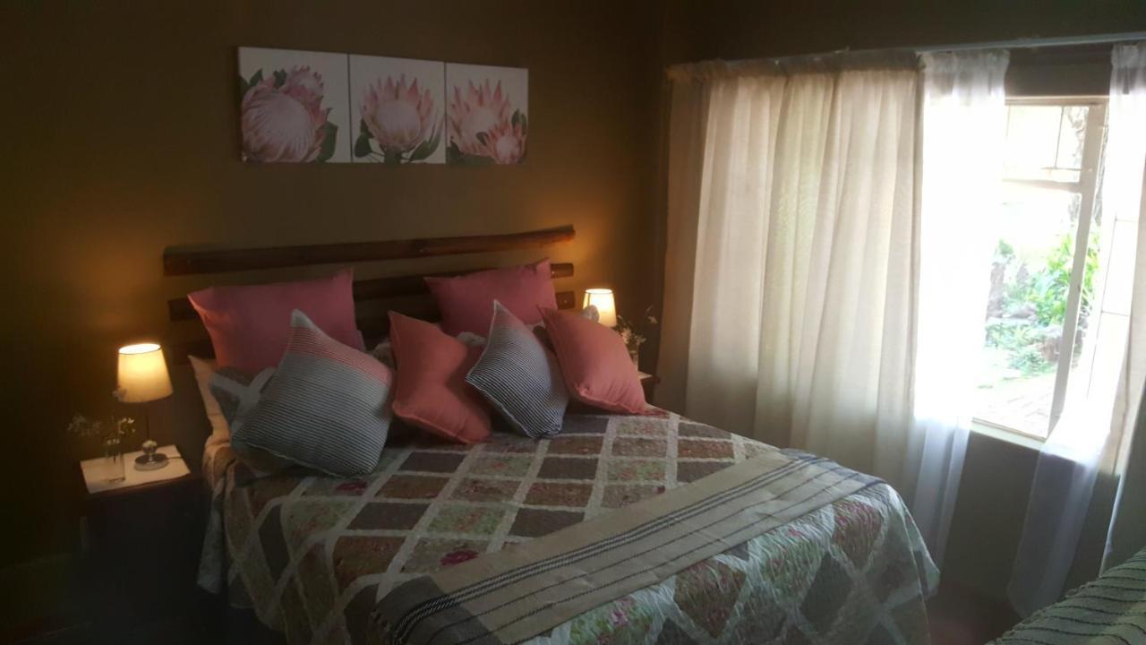 Dublin Guest House 사비 외부 사진
